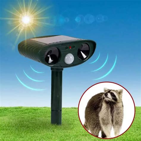 raccoon outdoor ultrasonic repeller reviews.